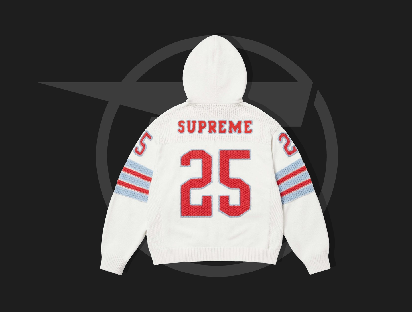 Supreme Sport Zip Up Hooded Sweater (FW25) White